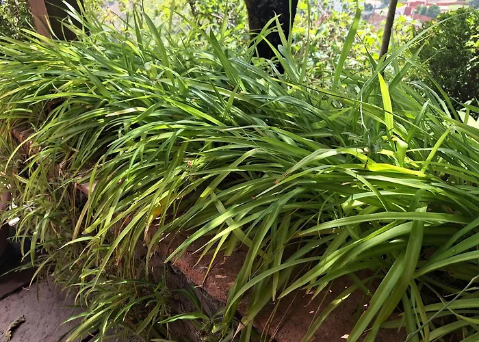Con Piscina Privada El Roble Séjour à la campagne