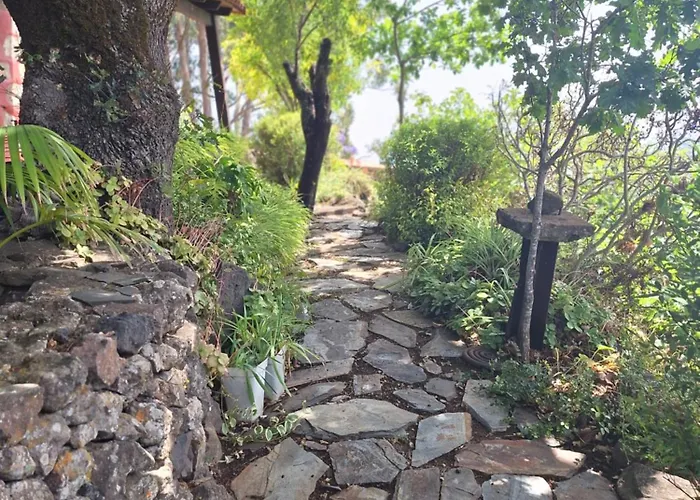Con Piscina Privada El Roble * Moya (Gran Canaria)