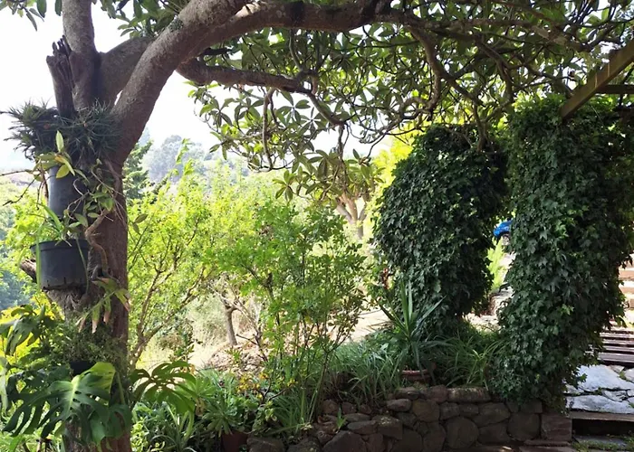 Con Piscina Privada El Roble Moya (Gran Canaria)