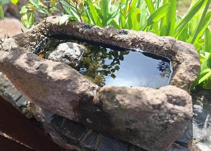 Con Piscina Privada El Roble Séjour à la campagne