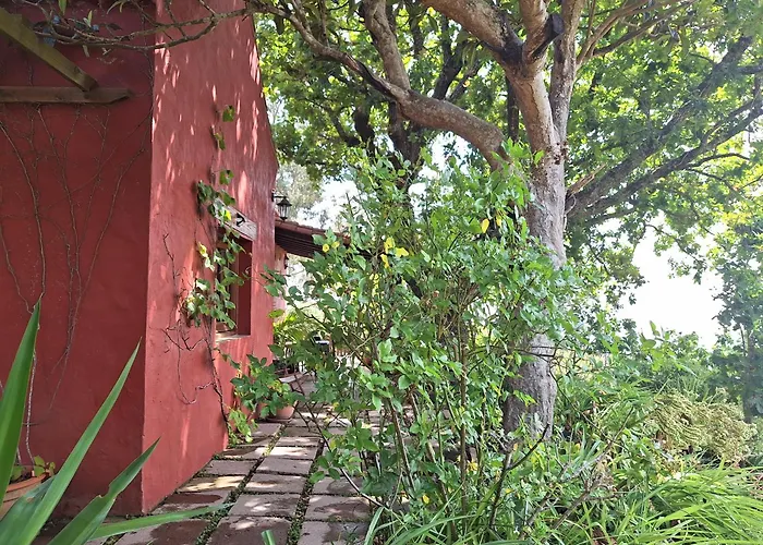 Con Piscina Privada El Roble * Moya (Gran Canaria)