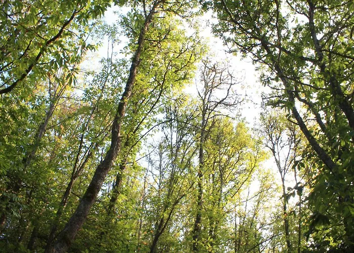 Séjour à la campagne Con Piscina Privada El Roble *